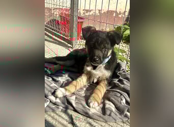 Aufgeschlossene Ruby sucht ihre Familie