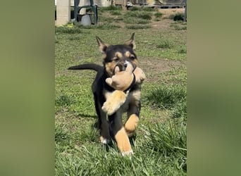 Süße Jördis sucht ihr Familie