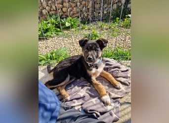 Aufgeschlossene Ruby sucht ihre Familie