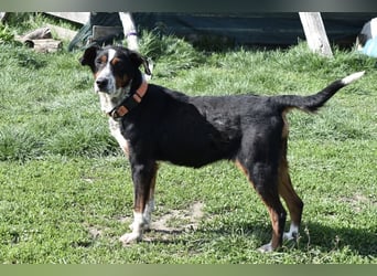 Liebevolle Maila sucht ihre Familie