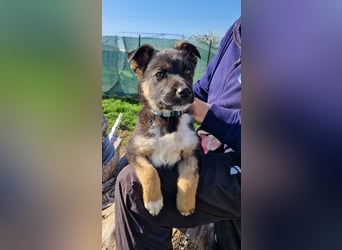 Aufgeschlossene Ruby sucht ihre Familie