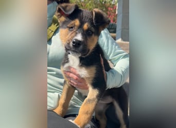 Süße Jördis sucht ihr Familie