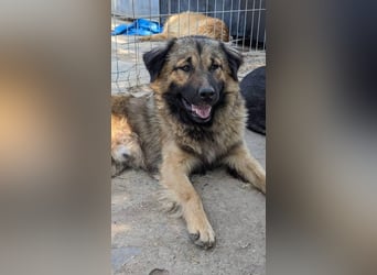 Ayo möchte endlich ankommen