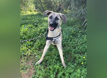 Erobert Amira dein Herz? <3