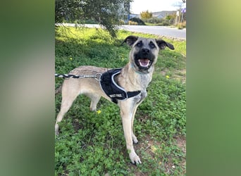 Erobert Amira dein Herz? <3