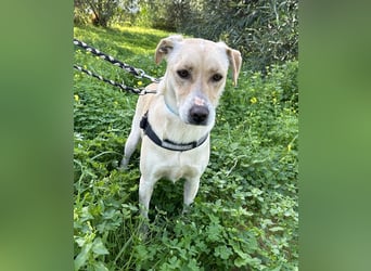 Wunderschöne Miyou sucht Herzensmensch