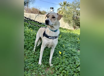 Wunderschöne Miyou sucht Herzensmensch