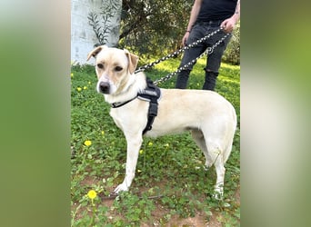 Wunderschöne Miyou sucht Herzensmensch