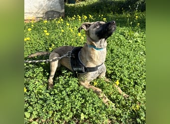 Erobert Amira dein Herz? <3