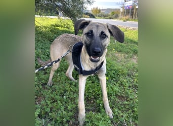 Erobert Amira dein Herz? <3