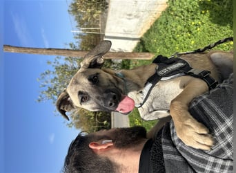 Erobert Amira dein Herz? <3