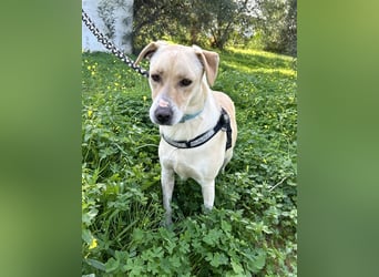 Wunderschöne Miyou sucht Herzensmensch