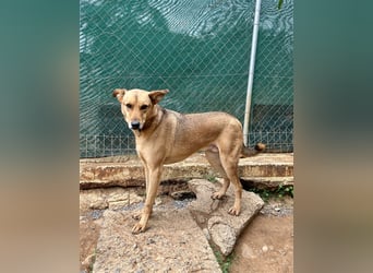 Liebevoller Buster sucht DICH