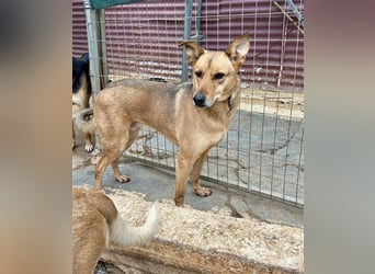 Liebevoller Buster sucht DICH