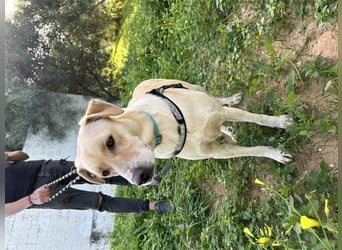 Wunderschöne Miyou sucht Herzensmensch