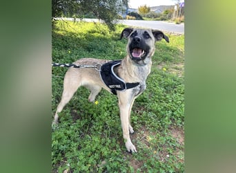 Erobert Amira dein Herz? <3