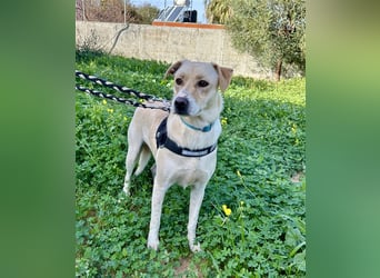 Wunderschöne Miyou sucht Herzensmensch