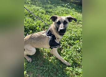 Erobert Amira dein Herz? <3