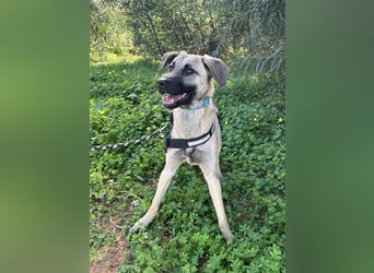 Erobert Amira dein Herz? <3