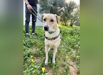 Wunderschöne Miyou sucht Herzensmensch