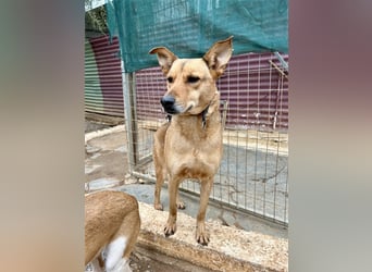 Liebevoller Buster sucht DICH