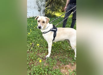 Wunderschöne Miyou sucht Herzensmensch