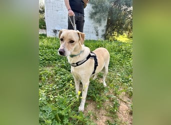 Wunderschöne Miyou sucht Herzensmensch