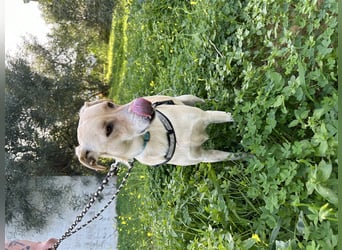 Wunderschöne Miyou sucht Herzensmensch