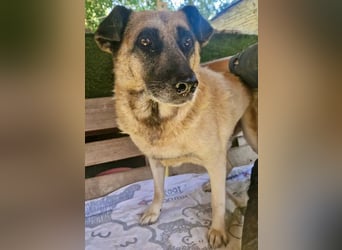Timon, sein Herz braucht Zeit