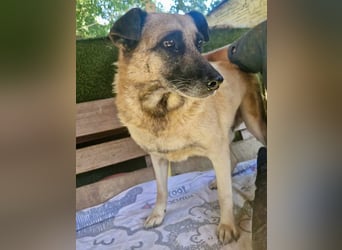 Timon, sein Herz braucht Zeit