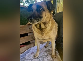 Timon, sein Herz braucht Zeit