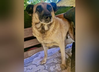 Timon, sein Herz braucht Zeit