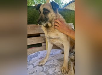 Timon, sein Herz braucht Zeit