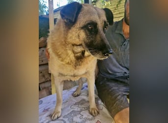 Timon, sein Herz braucht Zeit