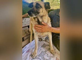 Timon, sein Herz braucht Zeit