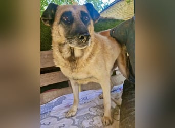 Timon, sein Herz braucht Zeit