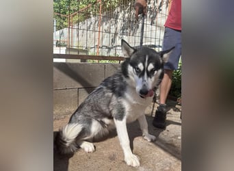 Hanna sucht Liebe und Geborgenheit