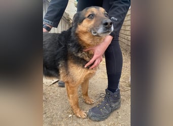 Merlin zaubert ein Lächeln