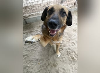 Gunvald möchte endlich dazugehören