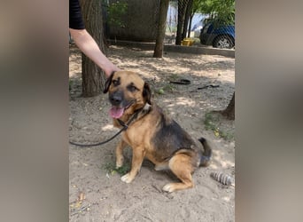 Gunvald möchte endlich dazugehören