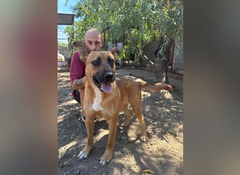 Eda sucht Abenteuer-Buddy