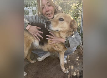 Jago hat ein großes Herz