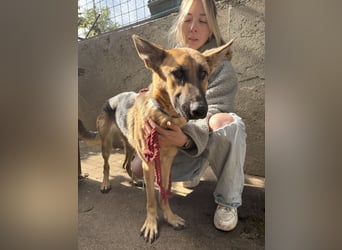 Missy- Genau dich suche ich !