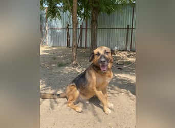 Gunvald möchte endlich dazugehören