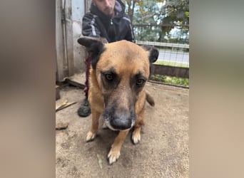 Amigo braucht eine Chance