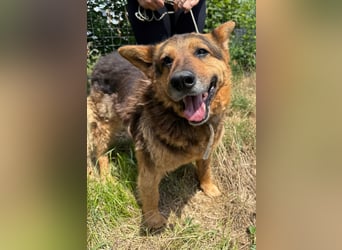 Charlie – unser Sonnenschein