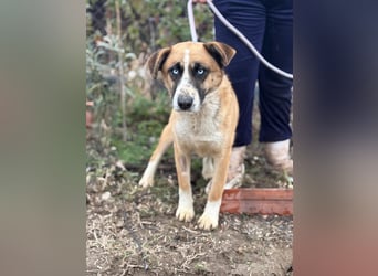 Shirley träumt von einem Zuhause