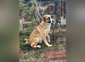 Shirley träumt von einem Zuhause