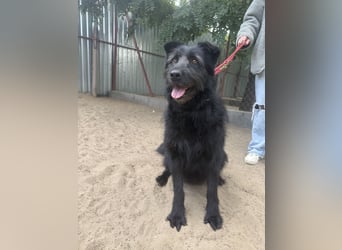 Hanife sucht sein Für-Immer-Zuhause