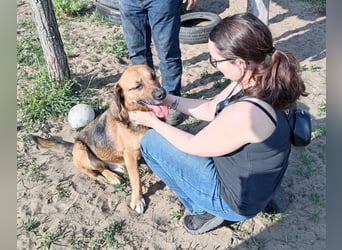 Gunvald möchte endlich dazugehören